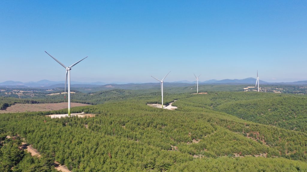 Saha Yolu ve Platform