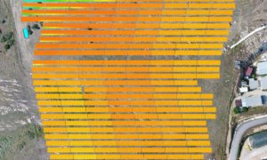 Panel Layout Analysis